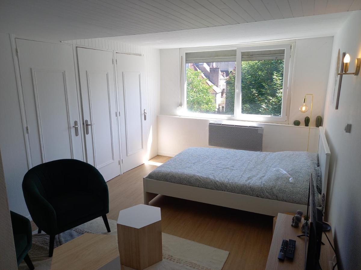 Belle Vue Centre-ville Historique De Dijon. Apartamento *