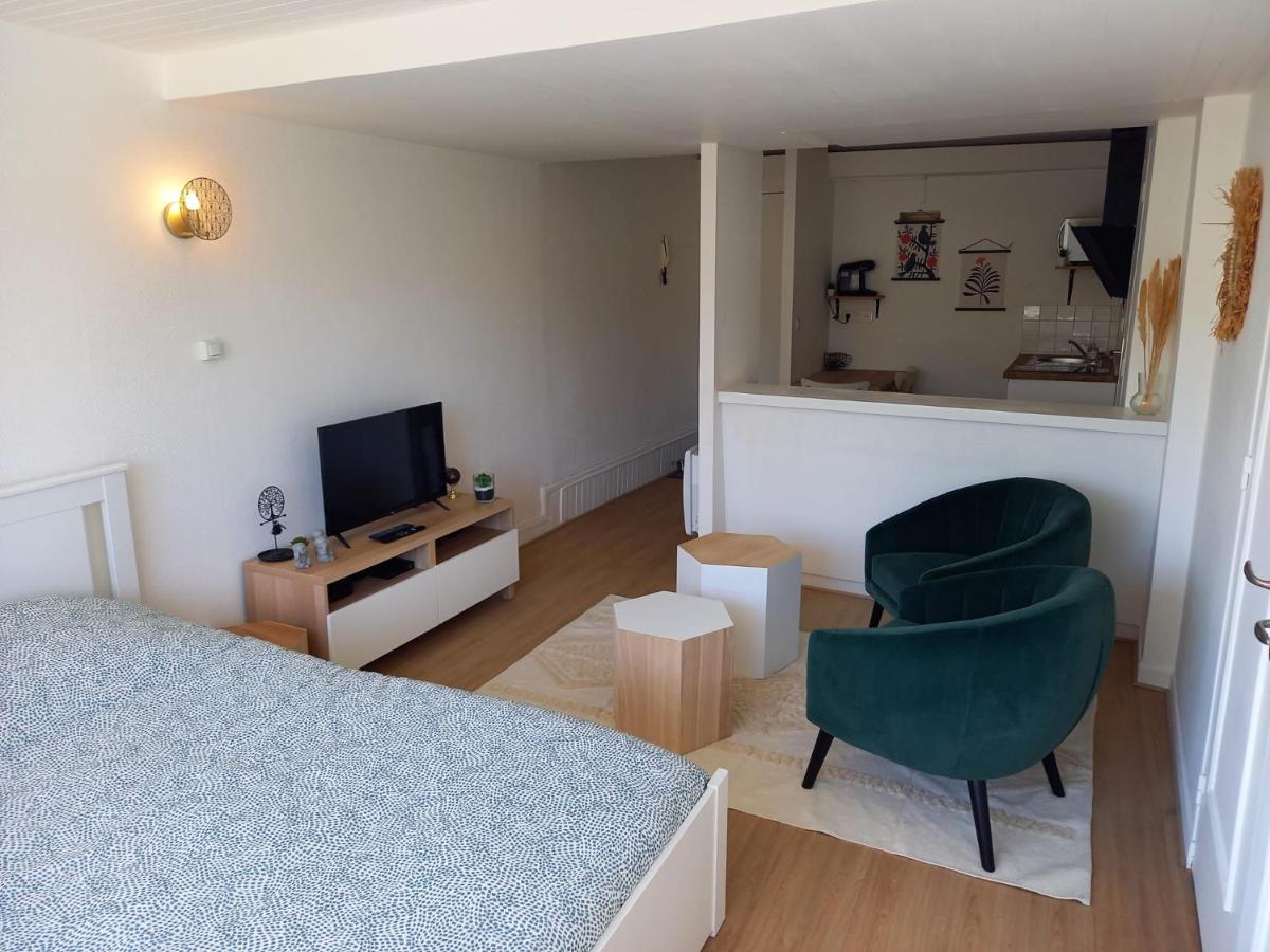 Apartamento Belle Vue Centre-ville Historique De Dijon. *